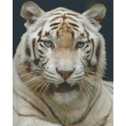 Tiger 816105